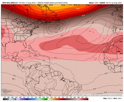 Expert Hurricane Tracking on Reels