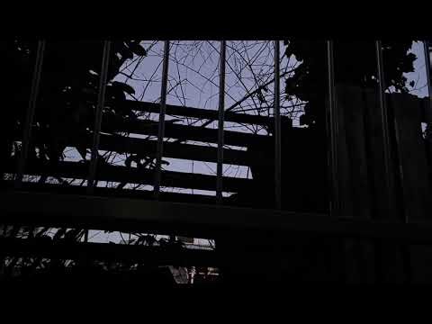Prodigy Power Raps ( dnk remix )