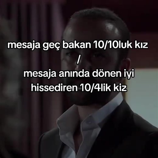 3 Sahipli Köpeklerin Hikayesi: Dostluk ve Sadakat