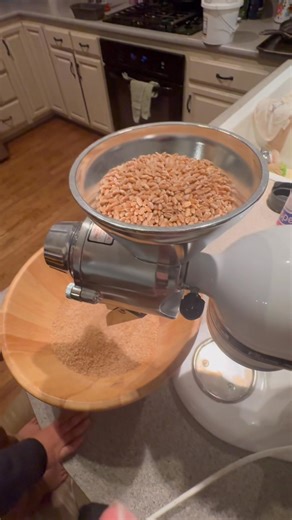 I know that purchasing your own wheatberries and different types of grains provides a lot more vital nutrients than store-bought bread, I know it’s convenient to buy those things, but I purchased this amazing attachment to my stand mixer that grinds my wheatberries on different settings. Can’t wait to make fresh loaf of very nutritious bread!! | Elizabeth Marie Grieve