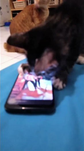 When the 'Skip Ad' button doesn't work 😤📱 #shorts