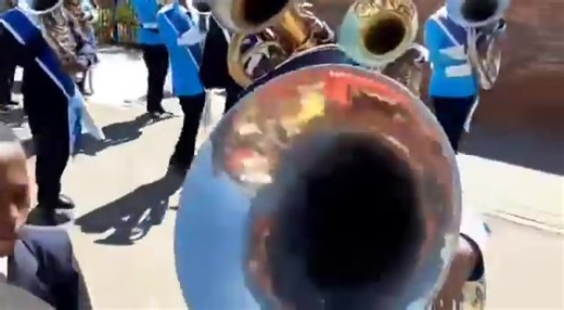 4.8K views · 154 reactions | Fish | Brass band tv | Facebook