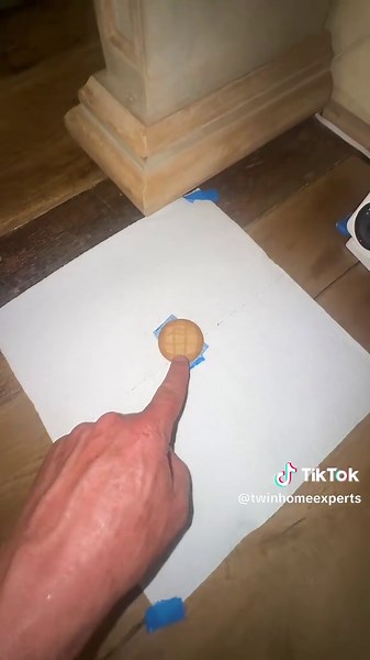 🐭 Think you have mice but can’t figure out where they’re hiding? This simple DIY trick can reveal the exact paths mice are using inside your home. ✅ Tape a paper towel to the floor. ✅ Place a small bait in the center. ✅ Lightly dust the area with UV Tracking Powder. ✅ Return later and use a UV flashlight to reveal their footprints and travel routes. Once you know where they’re traveling, you can place traps in the right location instead of guessing. Get our professional UV Tracking Powder Kit a