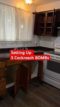 Setting Up 5 Cockroach BOMBs (aka Bug Fogger) in a Fourplex for the First Time - That Was Crazy! 🙄