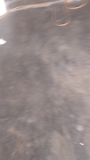 Videos de Jona Rilo (@jona.rilo) con “sonido original - Jona Rilo”