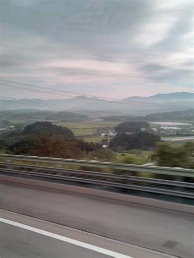 GR Pottery Forms on Reels