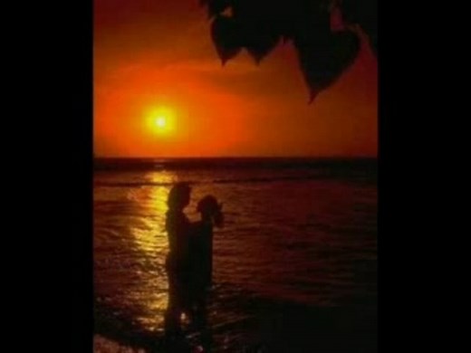 Tu poeta-Alex Campos