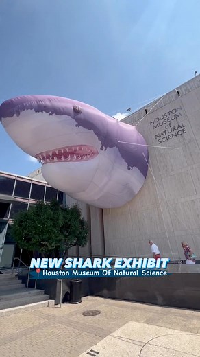 ‘Sharks! The Meg, The Monsters & The Myths,’ is officially open at the Houston Museum of Natural Science! 🦈😱(Saved the best part for last😆)This interactive exhibit features 6 galleries that include live animals, life-sized models, digital technology, photo ops and plenty of fin-tastic facts! 🙌🤘 | Visit Houston
