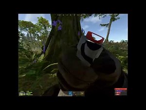 Rust clip dump #1