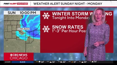 Winter Storm Warning begins Sunday night in Chicago, 2 to 3 inches of snow per hour possible
