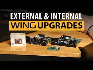Expand Your WING – An Overview of What Is Out There