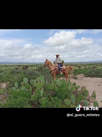 #rodeo #elgueromitotes #fyp #viralvideo