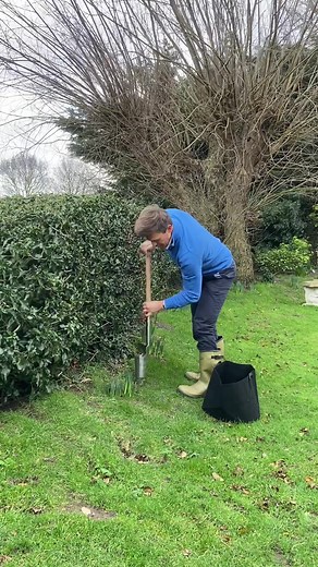 Planting Spring Bulbs for a Colorful Garden | Gardening Tips