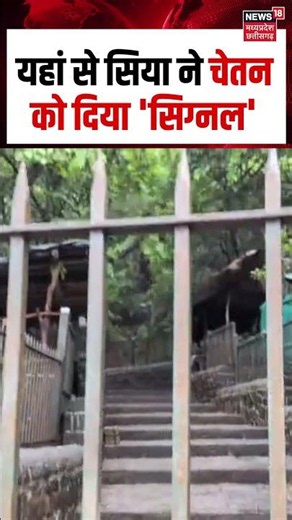 Pune Police Recreate Ketan Murder Scene with Siya at Fort : यहां से सिया ने चेतन को दिया 'सिग्नल'