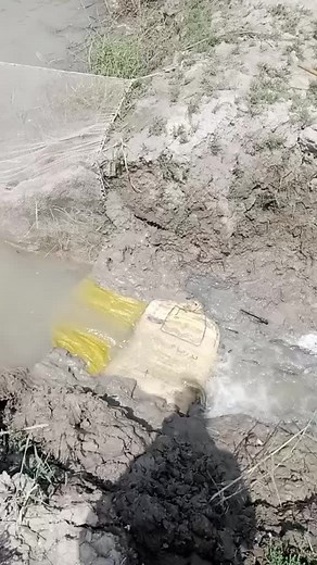 Impact of Water Pollution on Wildlife and Habitats