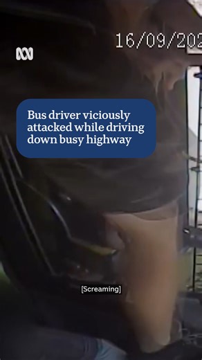 146K views · 1.7K reactions | Shocking video footage capturing the moment a bus driver was assaulted, and passengers were thrown through the air, has been played in the NT Supreme Court after the attacker pleaded guilty.  Olivana Lathouris #ABCNewsNT | ABC Darwin | Facebook