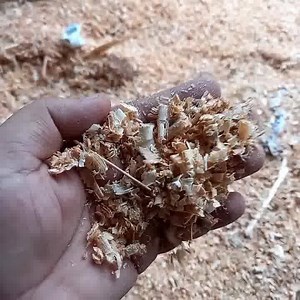 14 reactions · 5 comments | Saw dust for Pot Mulching aids better plant growth. a protective covering (as of sawdust, compost, or paper) spread or left on the ground to reduce evaporation, maintain even soil temperature, prevent erosion, control weeds, enrich the soil, or keep fruit (such as strawberries) clean. | Mission Green Mumbai | Facebook