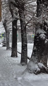 135K views · 1.3K reactions | 殺 Գորիսում ❄️️ ձնառատ  գարուն է ©️ world is Goris | Goris Today | Facebook