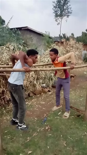 Tilsh Man (@user32tilsh)’s videos with ኣንበሳ - Alex