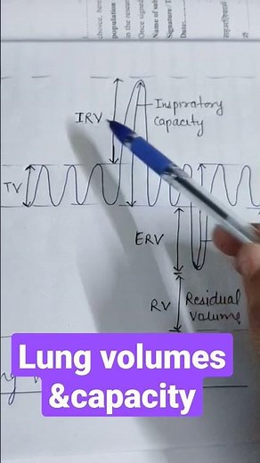 Lung volume and capacity