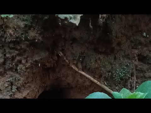 hello my friend