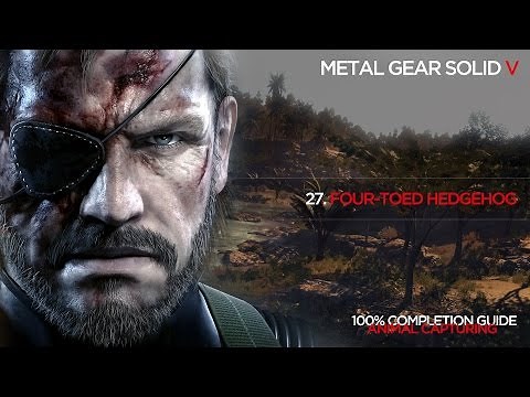 MGSV 100% Completion list (Animal capturing): 27. Four-toed Hedgehog [60fps]