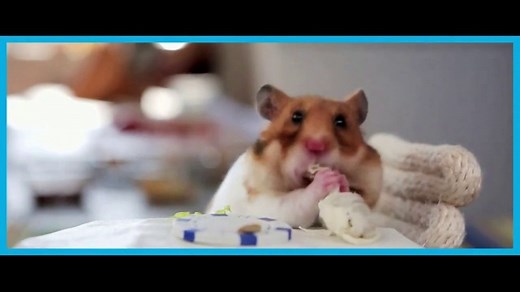 Subway Signature Wraps TV Spot, 'Tiny'