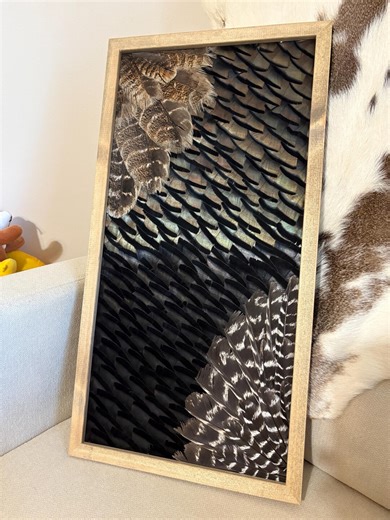 Eastern Turkey Feather Art Frame, Wall Hanging, Decor, Picture Frame, Medium Size 11”x21” Body   Primary / Secondary Wing Feathers Abstract - Etsy