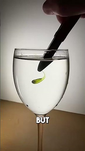 Prince Rupert’s Drop - The Glass That Won’t Break… Until It Does