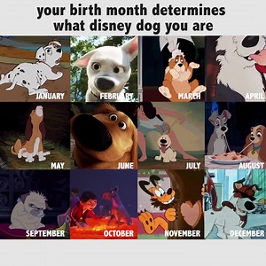 681K views · 6.8K reactions | (via BuzzFeed Quiz) | BuzzFeed | Facebook