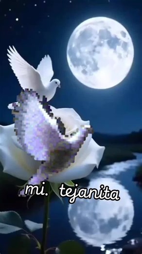 💘💟Mi Tejanita,💟💘 (@mitejanita1)’s videos with Procesos - Cleiry Cruz