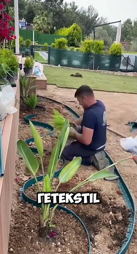 клумба своими руками