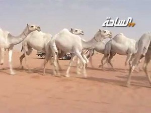 منقية / رجل الأعمال محمد بن مصلح بن عبيريد المطيري