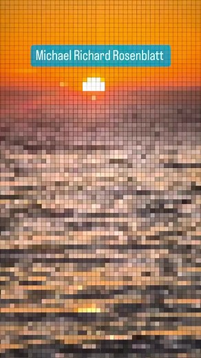 Sunset Lab by #MichaelRichardRosenblatt #rosenblattartvideos #rosenblattsunsets. Follow Rosenblatt Studios | Rosenblatt Studios