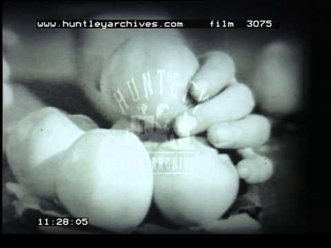 Early Television Gardening, 1950's - Film 3075