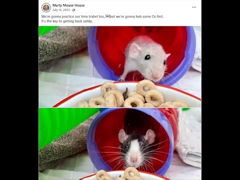 Let’s play Chrono Trigger low level 39 — Rise of the machines