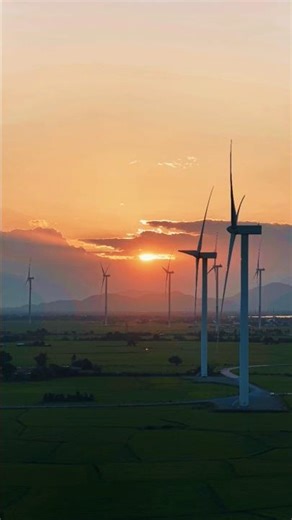 The Wind #shorts #windy #electricity #nature #relaxing