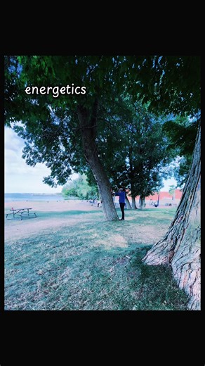 Discover Tree Benefits for Health and Well-being