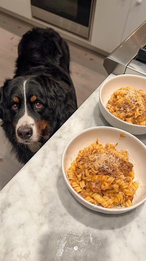 Meredith Hayden on Instagram: "first time cooking in the new kitchen ☺️"