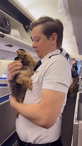 3.5K reactions · 54 shares | Should dogs be allowed in the flight deck?  | Traveling with a Dog | Facebook