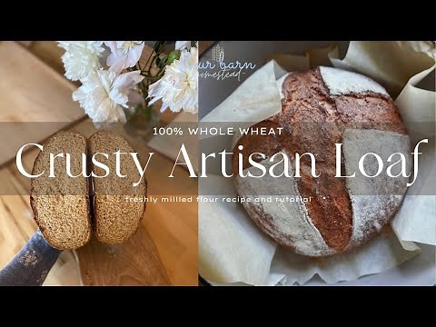100% Whole Wheat Artisan Bread Recipe Using Freshly Milled Flour, Perfect Beginner Bread recipe!