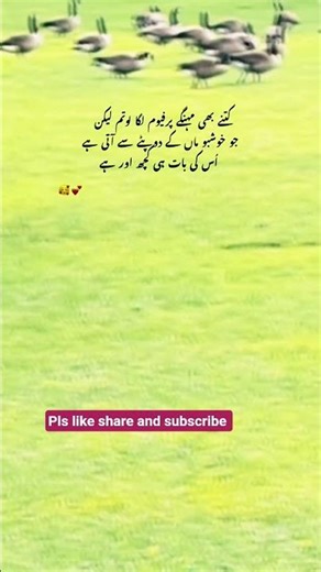 #youtubeshorts #maa #viralvideo