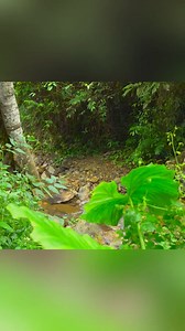 More videos you may like