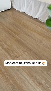 Offrez à votre compagnon félin une expérience de jeu inoubliable avec le Jouet Interactif Pour Chat. Conçu pour stimuler l'esprit curieux et actif de votre chat, ce jouet intègre une technologie interactive qui répond aux mouvements de votre animal. Fabriqué en matériau résistant et sécurisé, ce jouet promet des heures d'amusement tout en stimulant les sens de votre chat. #chat #chaton #jouet #pourtoi #fyp | Oaura