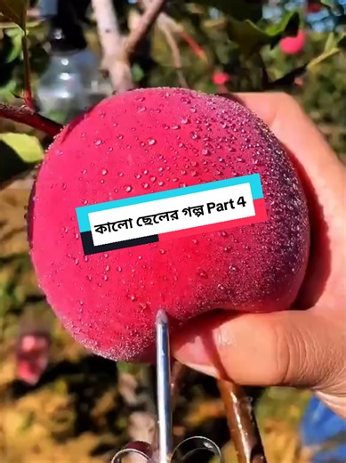 Replying to @lemon24582 কালো ছেলের গল্প Part 4 #👑shakil_vai_20👑