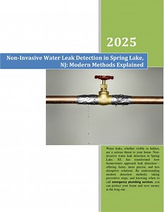 Non-Invasive Water Leak Detection in Spring Lake, NJ- Modern Methods Explained - SlideServe