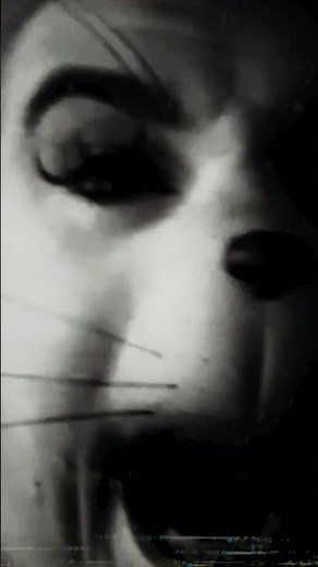 Creepy Cat in the Hat (Found Footage) #shorts #horror #analoghorror #catinthehat #creepypasta