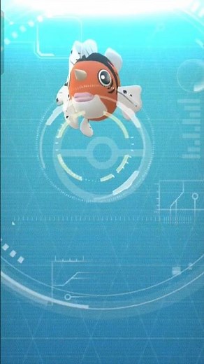 Goldeen evolved into seaking|Goldeen evolution|Shiny goldeen|#pokemon #pokemongo #goldeen