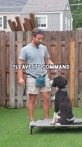 100K views · 3.3K reactions | How to teach a dog to “leave it.” When...