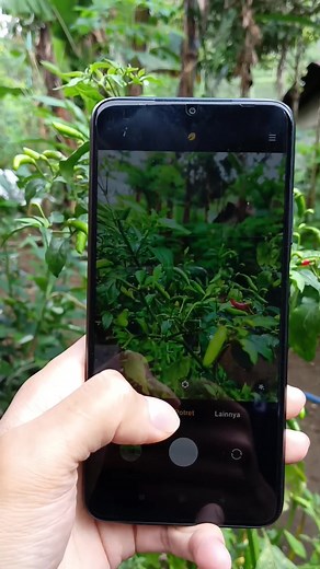 Uji Kamera HP Poco M3: Masih Oke untuk Digunakan